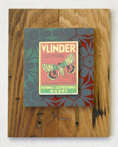 Vlinder on natural wood with worm holes