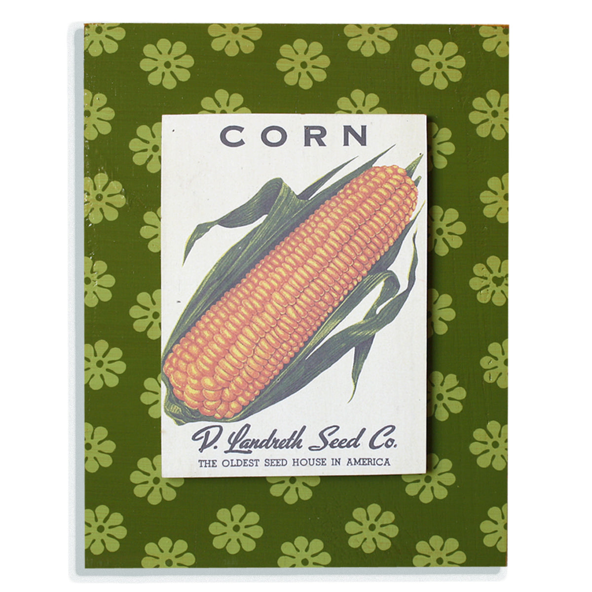 Corn on green